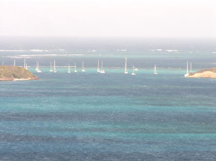 Tobago_Cays